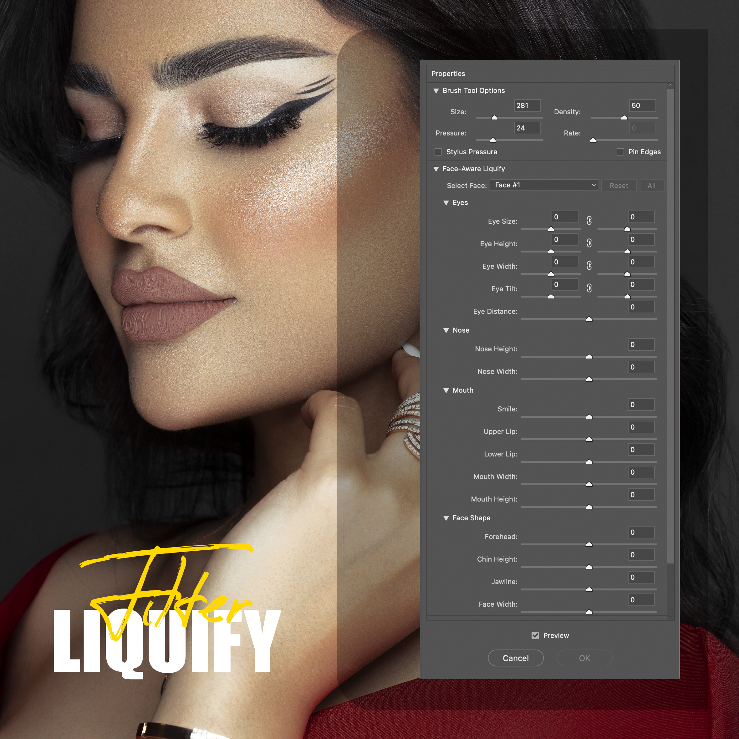 Filter LIQUIFY
