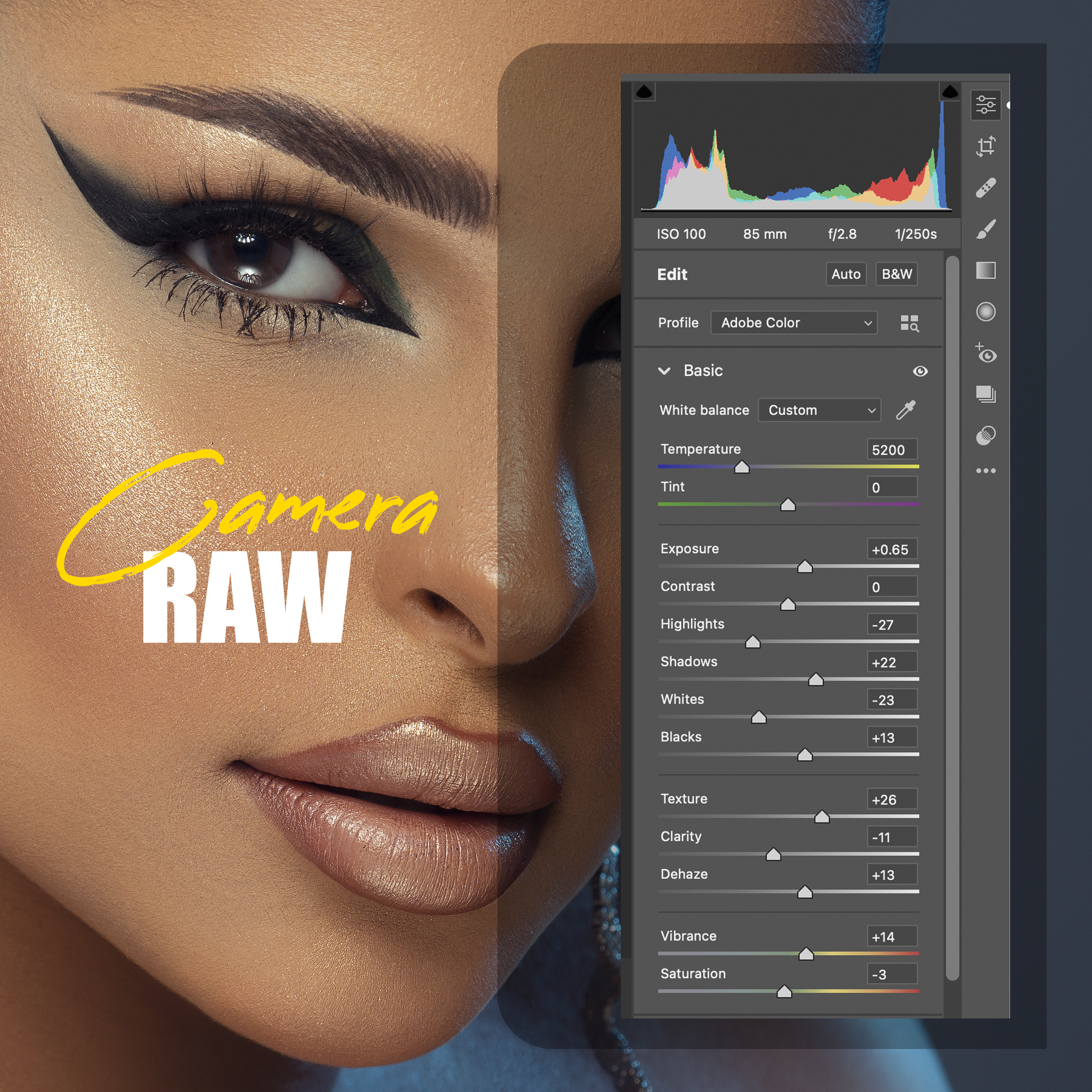 Camera RAW